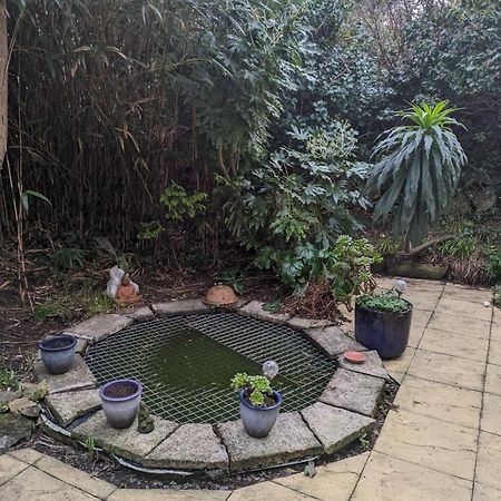 The Garden Apartment St Ives Kültér fotó