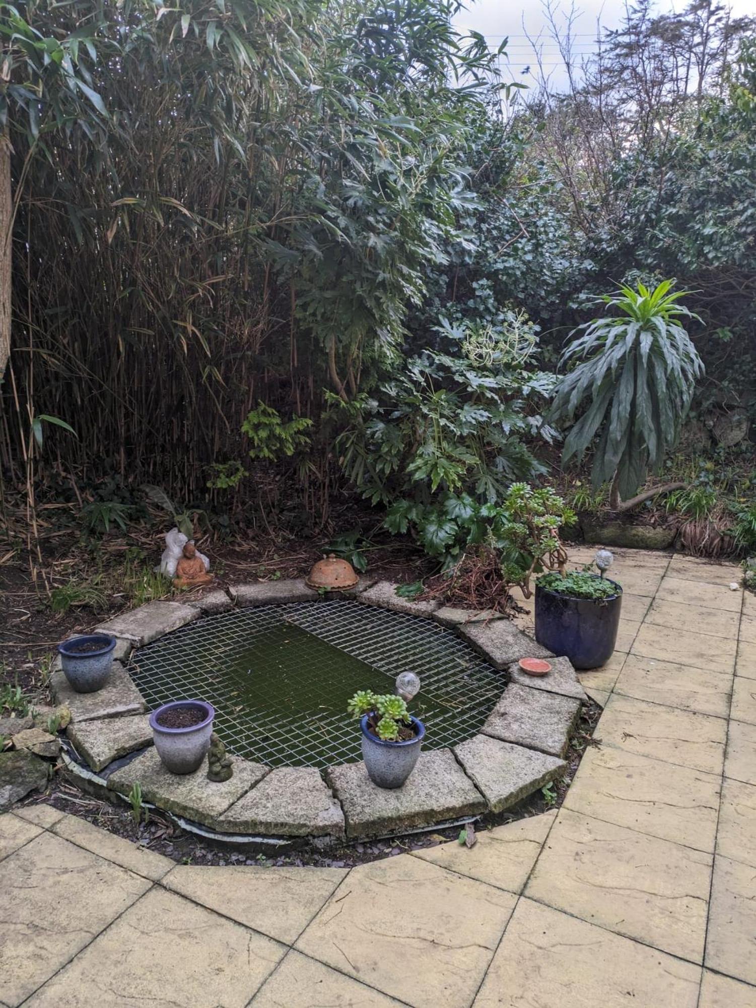 The Garden Apartment St Ives Kültér fotó